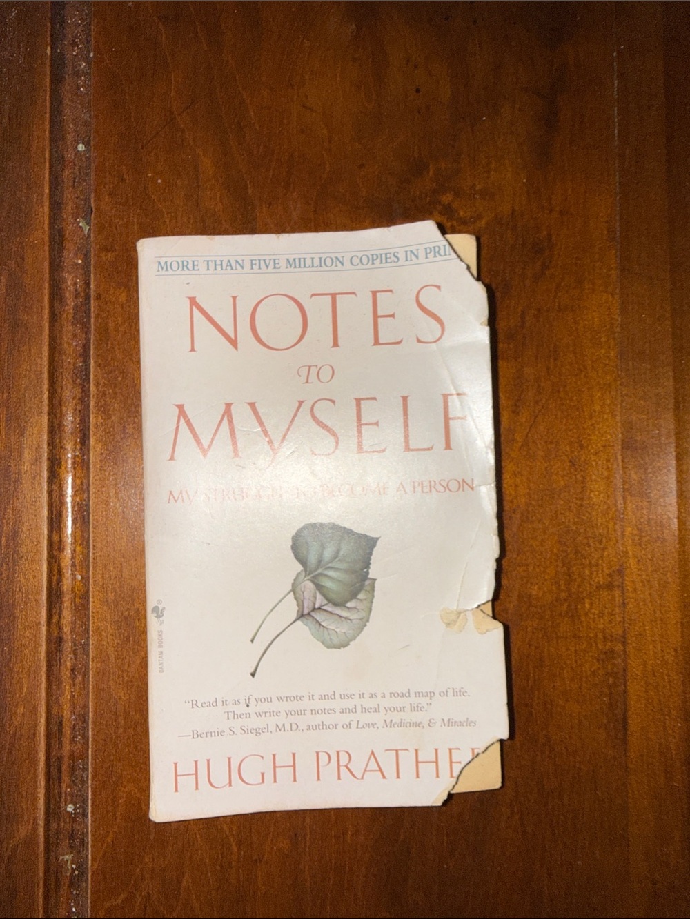 Notes to Myself Book Cover